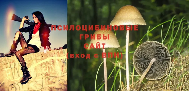 Галлюциногенные грибы Magic Shrooms  купить  сайты  Енисейск 